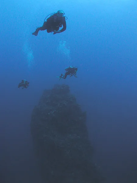 Duiker bij een verticale koraalwand in helder blauw water bij Saba