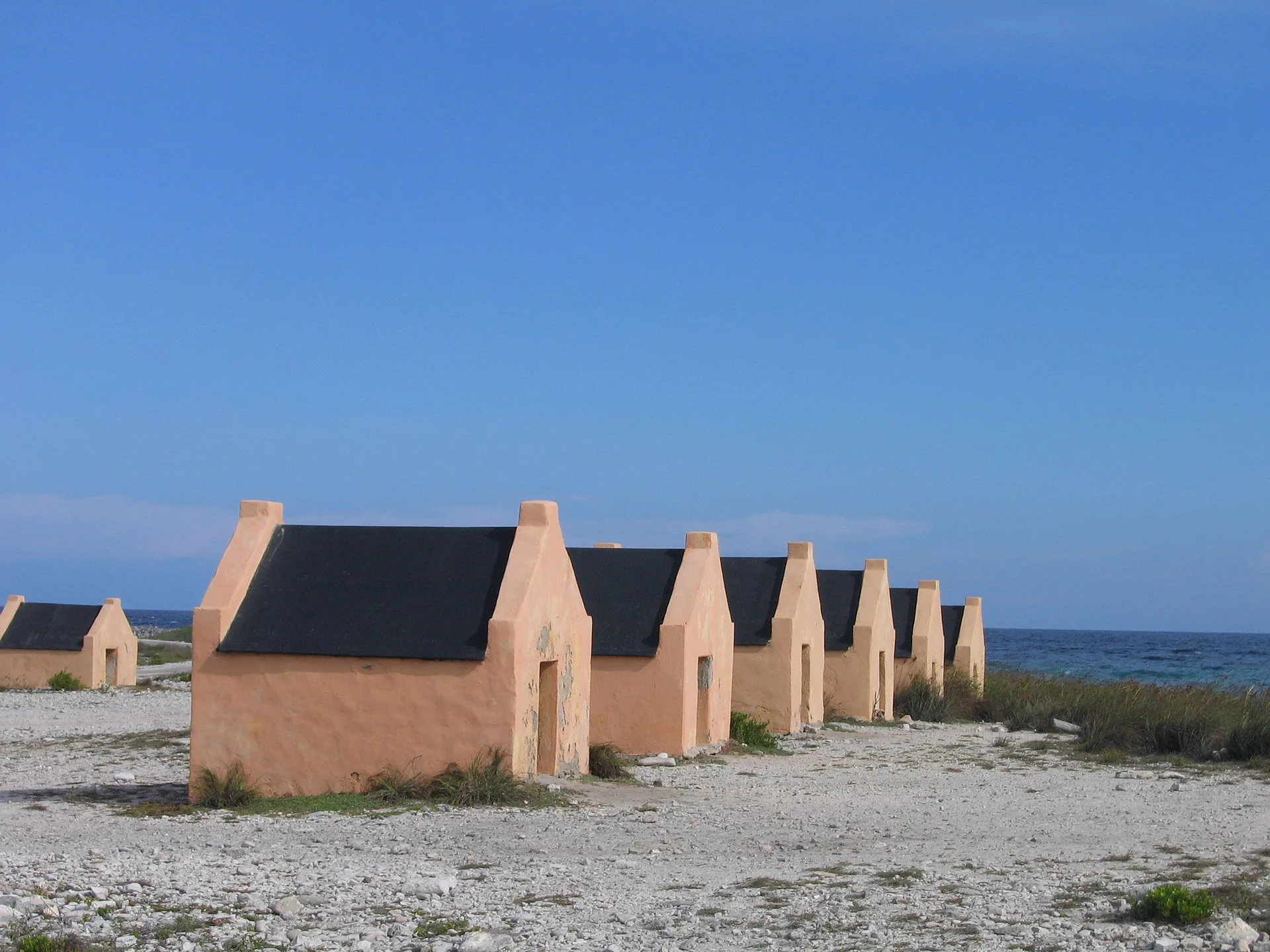 Kleine rode slavenhutjes aan de zoutvlaktes van Bonaire, met de zoutpannen op de achtergrond